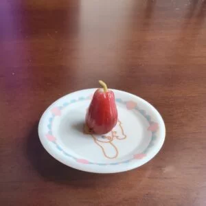 Mini Wax-apple | Miniature Wax-apple | Clay Wax-apple | 100% hand-made ClayDIY