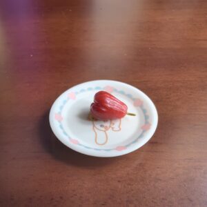 Mini Wax-apple | Miniature Wax-apple | Clay Wax-apple | 100% hand-made ClayDIY - Image 6